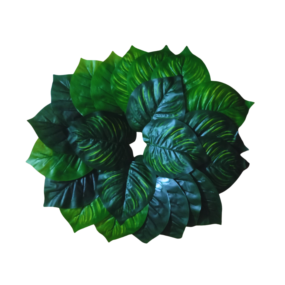 Panpata jora 7inch size